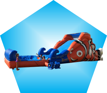 Nemo
